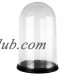 CYS-Excel Glass Terrarium Dome Cloche (Set of 4)   